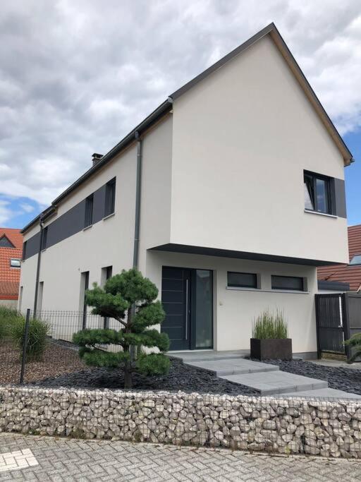 Maison D'Architecte Situee Sur La Route Des Vins Châtenois Exterior foto